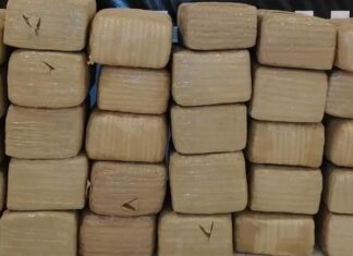 Aseguran 300 kilos de marihuana en León.