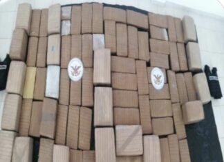 Operativo Guanajuato Seguro saca de las calles del estado más de 918 mil 500 dosis de drogas