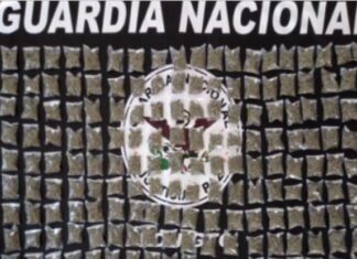 Más de 146 mil 500 dosis de droga fueron aseguradas por el Operativo Guanajuato Seguro