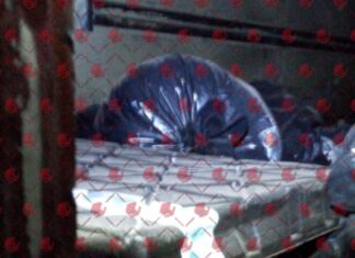 Autoridades confirman que restos encontrados en General Motors, eran de animales.