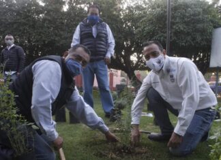 Autoridades municipales instalaron jardines polinizadores para el paso de la mariposa monarca en Valle de Santiago