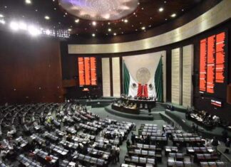 El pleno de la cámara de diputados avala la despenalización del uso de la mariguana.