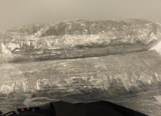 Elementos de la Dirección de Seguridad Pública de Salamanca, detuvieron a dos sujetos que portaban un kilo de marihuana.