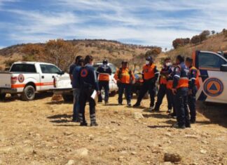 Más de 60 brigadistas combaten incendio forestal en Guanajuato.