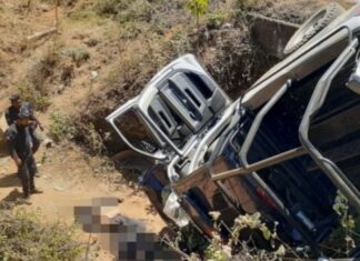 Mueren dos policías y tres mas resultan lesionados tras salirse de la carretera