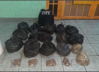 Elementos de las FSPE aseguraron más se 12 mil dosis de marihuana en YURIRIA.