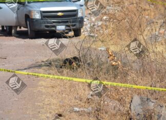 Encuentran a una mujer ejecutada en el camino viejo a la Comunidad de LaSoledad; en Moroleon.
