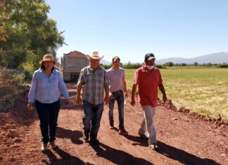 Se beneficia a productores del campo con rehabilitación de caminos saca cosechas en Salvatierra.
