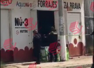 Ejecutan a un hombre al interior de una forrajera en Apaseo El Grande; sicarios lo emboscaron.