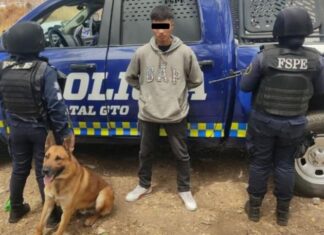 FSPE aseguran a una persona en posesión de 37 dosis de droga en Irapuato.