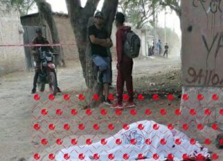 Enfrentamiento entre elementos de las FSPE y Guardia Nacional con civiles armados, dejo un saldo de un policía muerto y dos agentes federales heridos; así como cinco civiles abatidos.