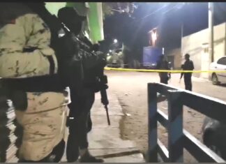 Una mujer fue asesinada de un balazo en la cabeza al interior de su domicilio en la colonia Constitucion de Apatzingan, en Irapuato.