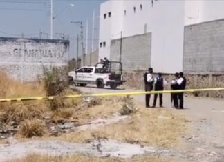 Localizan el cuerpo de una mujer desmembrada en bolsas de plástico negras en la comunidad de El Carrizalito en Irapuato.