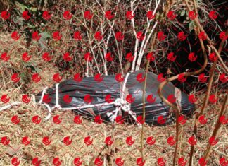 Encuentran el cuerpo de una persona asesinada envuelto en bolsas se plástico en Morelia.