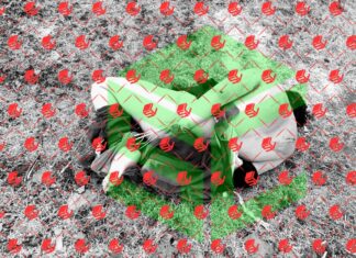 Encuentran el cuerpo sin vida de un joven en el puente peatonal de la colonia Independencia en YURIRIA.