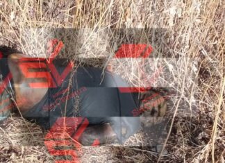 Localizan cadáver en estado de descomposición en Valle de Santiago, Guanajuato