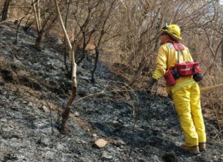 Nueve de cada diez incendios son provocados por humanos; Protección Civil de Silao.