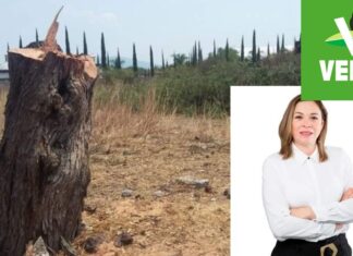 Las administraciones de La Güera y Gerardo Gaviña han dejado los peores ecocidos y daños al medio ambiente en Yuriria, ahora esta familia vuelve a buscar el voto de los cansados ciudadanos