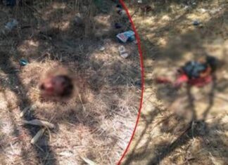 Dejan restos humanos en el tramo carretero Silao-Romita