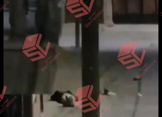 Ataque armado en Moroleon dejo un saldo de dos muertos y un herido.