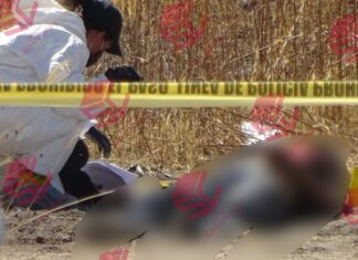 Localizan el cuerpo en descomposición de una persona en la comunidad Bajío Bolas Blancas en León