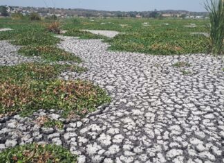 Pescadores se quedan sin sustento por el bajo nivel de la Laguna de Yuriria.