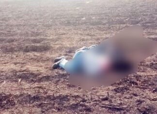 Los cuerpos de dos personas asesinadas fueron localizados cerca de la comunidad Bajío de Bolas Blancas en León