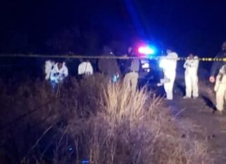 Tres hombres y una mujer fueron encontrados ejecutados