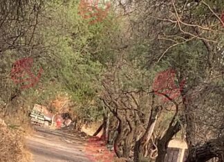 Ataque armado en un panteón dejó como saldo dos hombres sin vida en Salvatierra