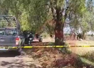 Localizan los cuerpos sin vida de cuatro hombres en el camino hacia la comunidad de El Nacimiento en Salamanca.