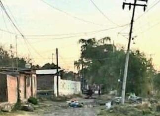 Encuentran los cadáveres descuartizados de cinco hombres en Zamora