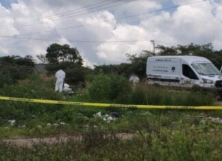 Encuentran los restos de tres personas en una fosa clandestina