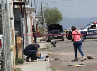 Una joven ama de casa fue asesinada a tiros