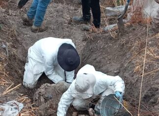 Exhuman 12 cuerpos en fosas clandestinas de Juventino Rosas.