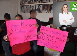 Durante gobiernos del Verde más de 600 familias que dependen de la pesca y muchas más de presidencia no tenían un salario por falta de pago de María de los Ángeles “La Güera”