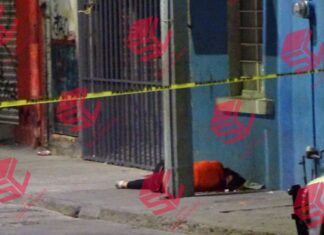 Ejecutan a un hombre y una mujer en la colonia Bellavista en León