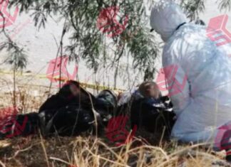 Encuentran el cadáver de un hombre embolsado en León