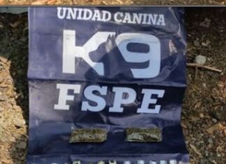 Detienen a un hombre en posesión de sustancias ilícitas y dinero en efectivo mediante labores de prevención y vigilancia realizadas por la FSPE