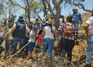 Seguridad pública de Valle de Santiago, participa en actividades para salvar árboles.