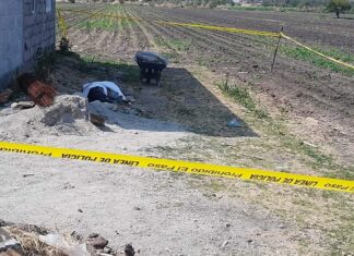 Ejecutan a un masculino en la comunidad Rosas Blancas en Abasolo.