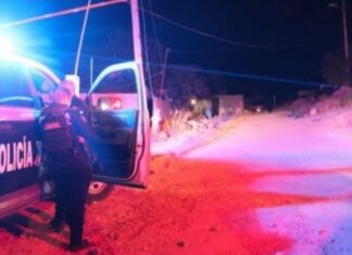 Padre e hijos fueron ejecutados al interior de su domicilio en la comunidad de Cora en Huanimaro