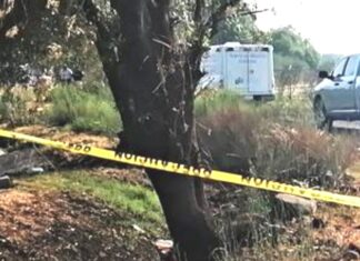 Encuentran el cadáver de una persona en la comunidad del Molinito