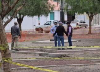Ya se hacen estudios en zona de la grieta que apareció en un parque de Celaya.