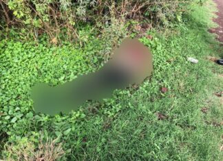 Encuentran el cadáver de una mujer en la comunidad de Los Lobos en Salamanca