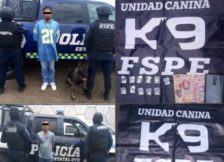 FSPE detiene en hechos distintos a dos sujetos en posesión de 21 dosis de droga en Silao