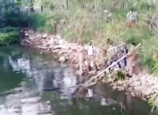 Cocodrilo devora a una mujer que lavaba ropa