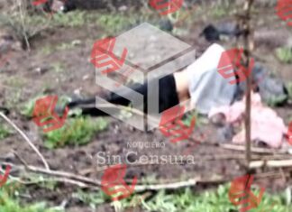 Autoridades encuentran el cuerpo de un hombre tirado a un costado de la carretera en la Peonia en el municipio de Uriangato.