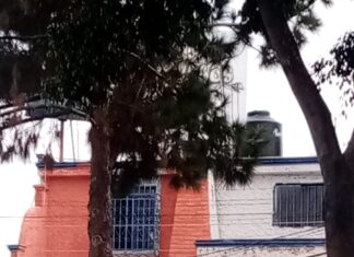 Persona pierde la vida por una descargará eléctrica en la colonia Real Providencia en León