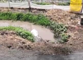 Encuentran el cuerpo de una persona envuelta en plásticos en el camino a la comunidad Unión de Liebres en Salamanca.