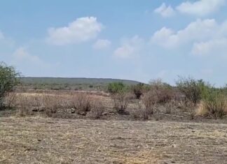 Encuentran el cuerpo de una persona al interior de un pozo en la comunidad de Los Zavala en Salamanca